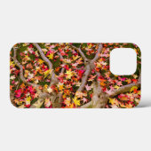 Colorful Maple Leaf Case-Mate iPhone Case (Achterkant (horizontaal))
