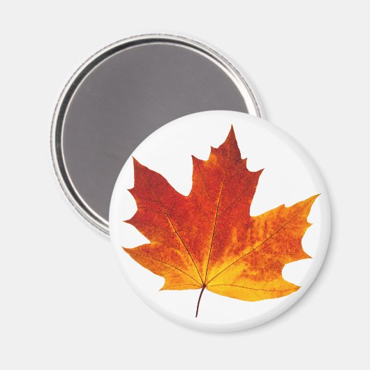 Colorful maple leaf magneet (Voorkant / Achterkant)
