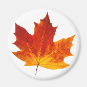 Colorful maple leaf magneet (Voorkant)