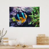 Colorful Marine Life Poster (Keuken)