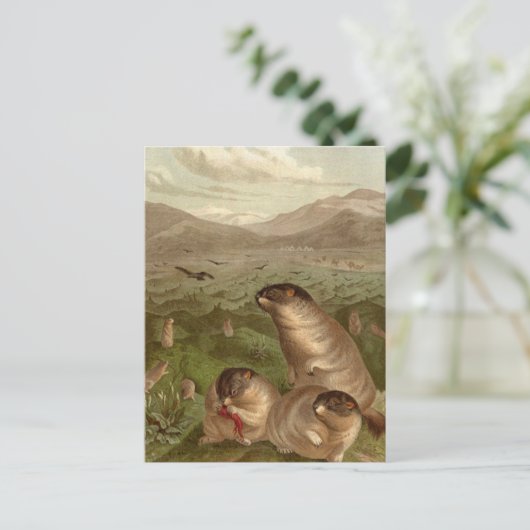 Colorful marmot-kaart briefkaart (Staand voorkant)