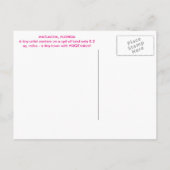 Colorful Matlacha Pine Briefkaart (Achterkant)