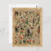 Colorful Meadow Flowers Herbs Dictionary Art Briefkaart (Voorkant / Achterkant)