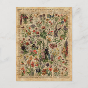 Colorful Meadow Flowers Herbs Dictionary Art Briefkaart