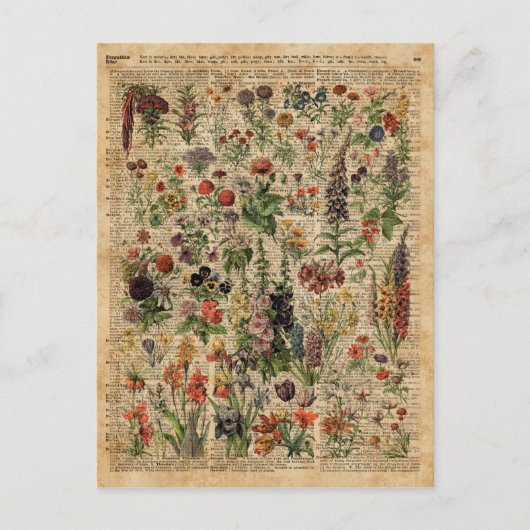 Colorful Meadow Flowers Herbs Dictionary Art Briefkaart (Voorkant)
