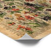 Colorful Meadow Flowers Herbs Dictionary Art Poster (Hoek)