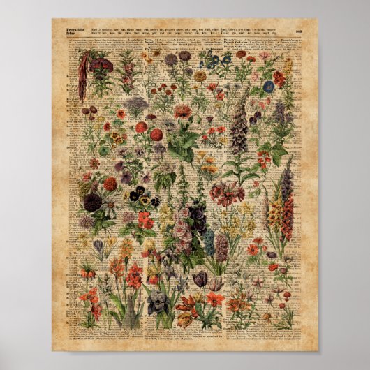Colorful Meadow Flowers Herbs Dictionary Art Poster (Voorkant)