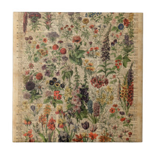 Colorful Meadow Flowers Herbs Dictionary Art Tegeltje