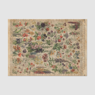 Colorful Meadow Flowers Herbs Dictionary Art Tissuepapier