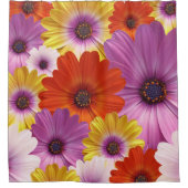 Colorful Medley of African Daisies Flowers Douchegordijn (Voorkant)