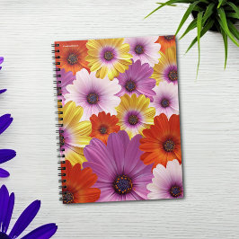Colorful Medley of African Daisies Flowers Notitieboek