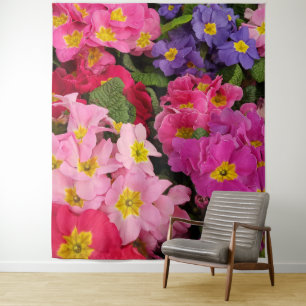 Colorful Medley Pink Blue Paars Primula Flowers Wandkleed