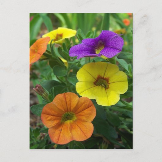 Colorful Million Bells Floral Briefkaart (Voorkant)