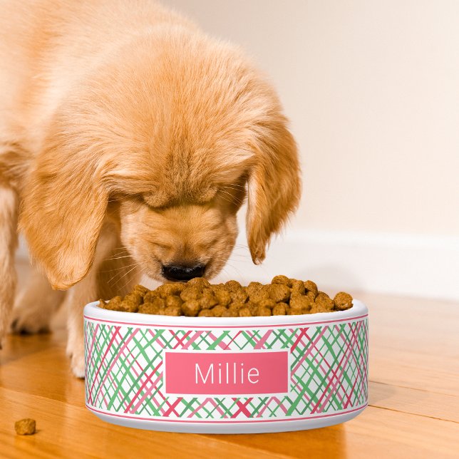 Colorful Modern Preppy Abstract Geometric Pattern Voerbakje (Creator heeft geüpload)