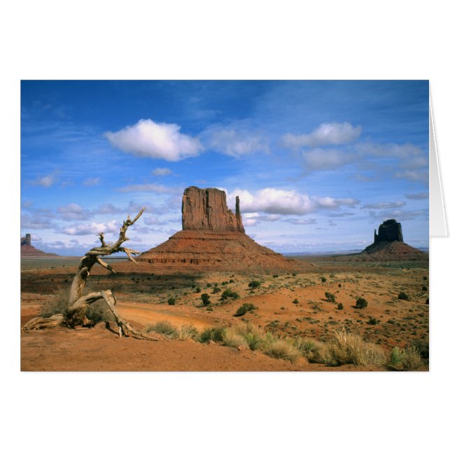 Colorful Monument Valley Mittens in Utah USA (Voorkant Horizontaal)