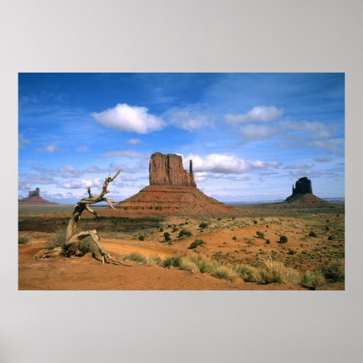 Colorful Monument Valley Mittens in Utah USA Poster (Voorkant)
