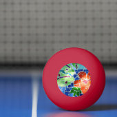 Colorful Mosaic Koi Fish Red Flower Pingpongbal (Net)