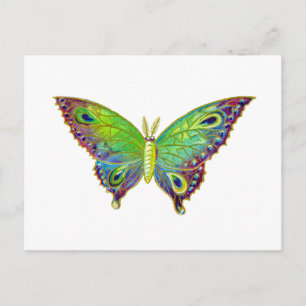 Colorful Moth Briefkaart