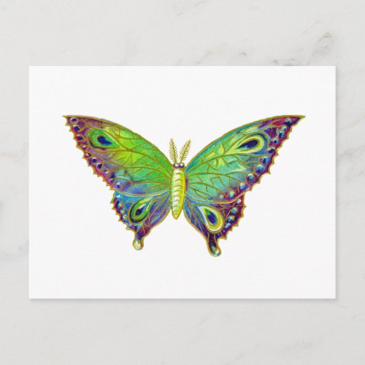  Colorful Moth Briefkaart (Voorkant)