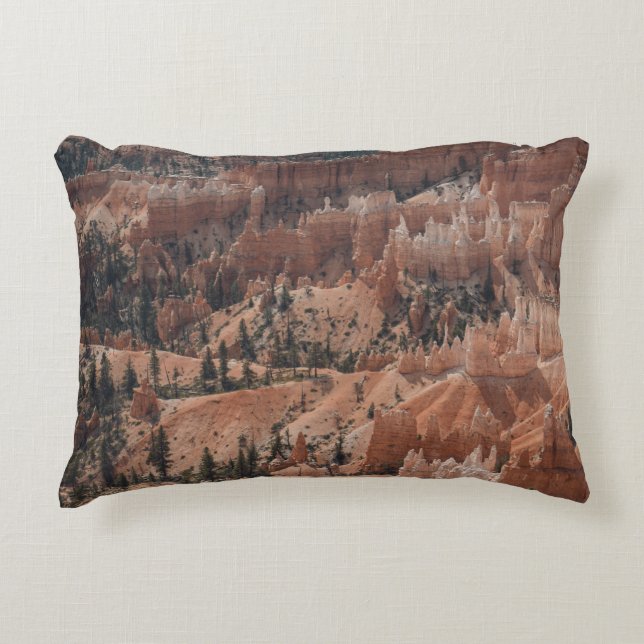 COLORFUL MOUNTAIN ACCENT KUSSEN (Voorkant)