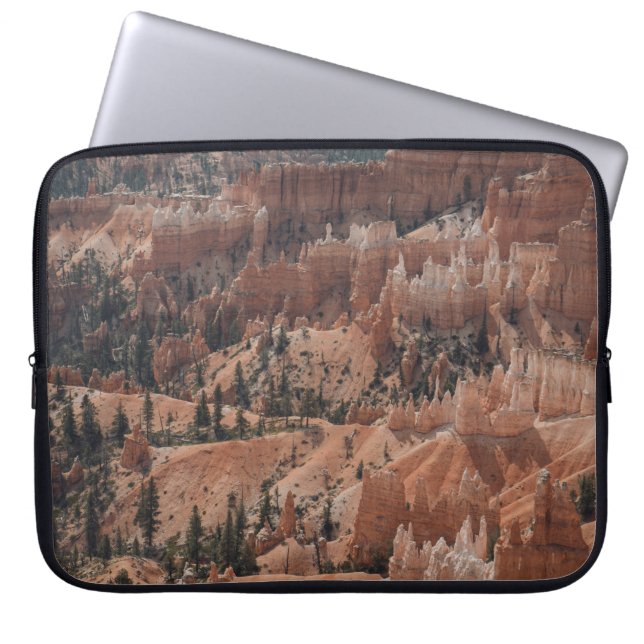 COLORFUL MOUNTAIN LAPTOP SLEEVE (Voorkant)