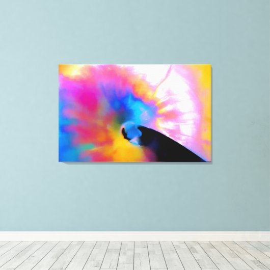 Colorful Nautilus Canvas Afdruk (Insitu (Houten vloer))