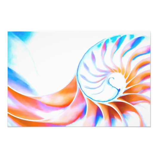Colorful Nautilus Foto Afdruk (Voorkant)