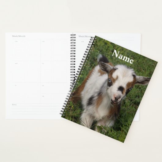 Colorful Nigerian Dwarf Dairy Goat Kind Planner (Display)