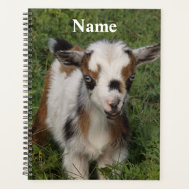 Colorful Nigerian Dwarf Dairy Goat Kind Planner