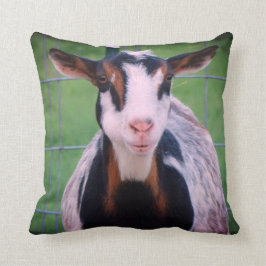 Colorful Nigerian Dwarf Dairy Goat Kussen