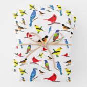 Colorful North American Birds Pattern Inpakpapier Vel (In situ)