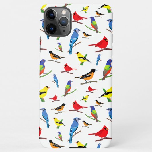 Colorful North American Birds Pattern iPhone Hoesje (Achterkant)