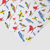 Colorful North American Birds Pattern Napkins Tissuepapier (Detail)