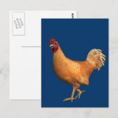 Colorful Oranje Rooster Briefkaart (Voorkant / Achterkant)