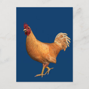 Colorful Oranje Rooster Briefkaart