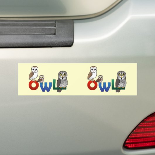 Colorful Owl Bumpersticker (Op auto)