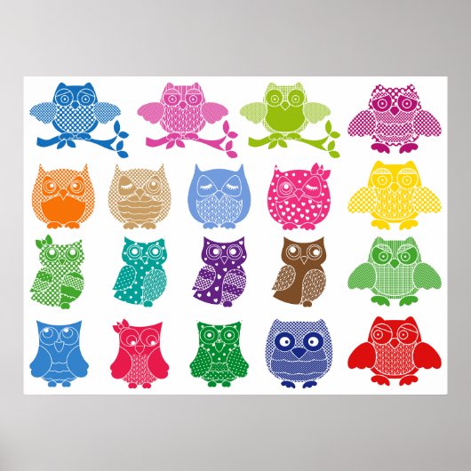 Colorful Owls Wise Birds Poster (Voorkant)