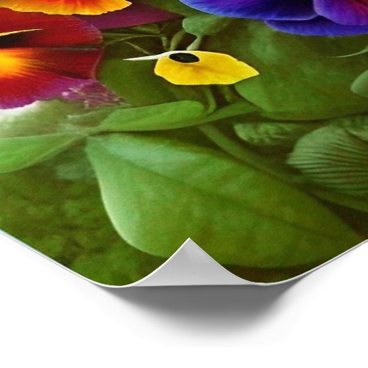 Colorful Pansies - AI ART Poster (Hoek)