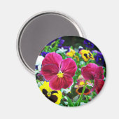 Colorful Pansies Magneet (Voorkant / Achterkant)