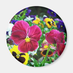 Colorful Pansies Magneet