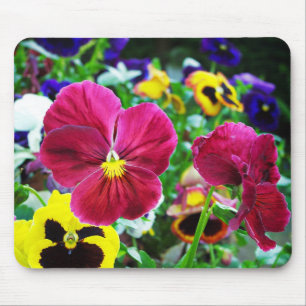 Colorful Pansies Muismat