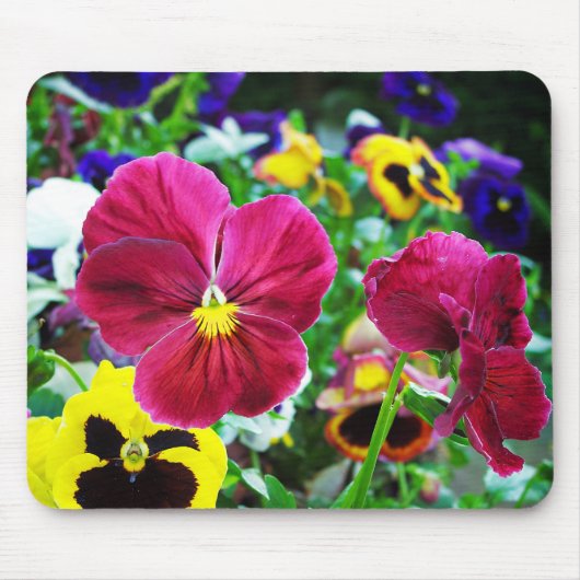 Colorful Pansies Muismat (Voorkant)
