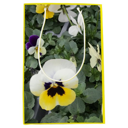 Colorful Pansies Pasen Medium Cadeauzakje (Voorkant)