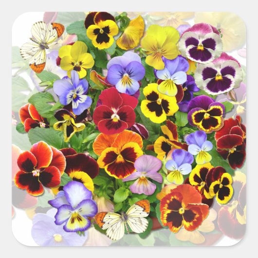 Colorful Pansy Arrangement met Butterflies Squar Vierkante Sticker (Voorkant)