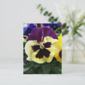 Colorful Pansy Briefkaart (Staand voorkant)