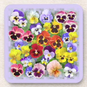 Colorful Pansy Display Bier Onderzetter