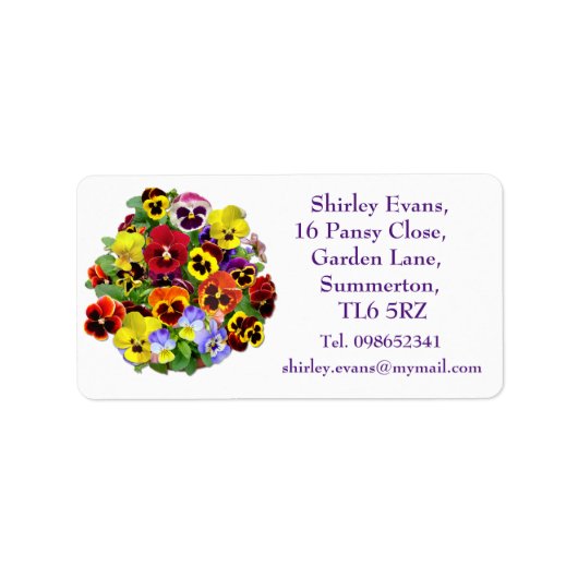 Colorful Pansy Display Etiket (Voorkant)