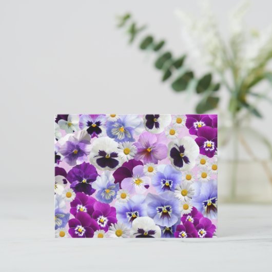 Colorful Pansy en Daisy Flowers Briefkaart (Staand voorkant)
