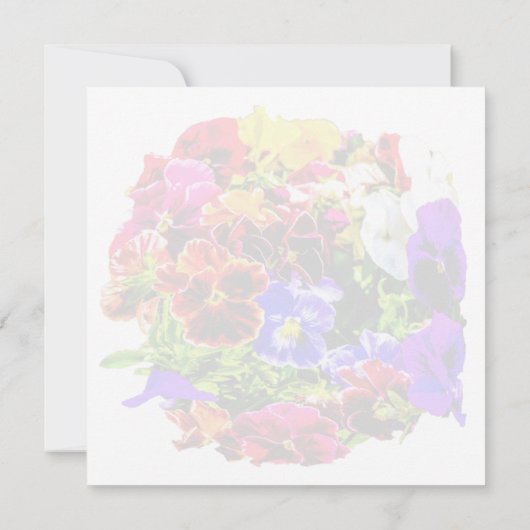 Colorful Pansy Flowers (Achterkant)