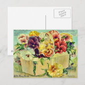 Colorful Pansy Flowers Seed Packet Hoesje Briefkaart (Voorkant / Achterkant)